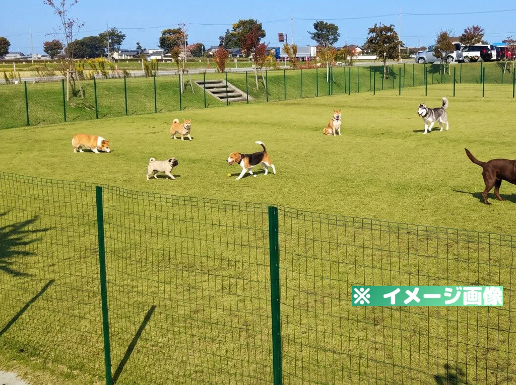 道の駅 せせらぎの里こうら ドッグラン