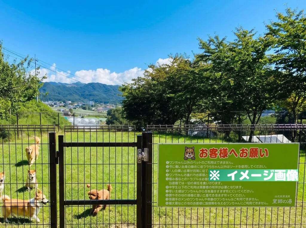道の駅 白沢
