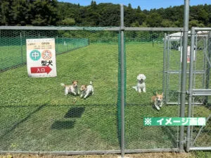道の駅 雫石あねっこのイメージ画像