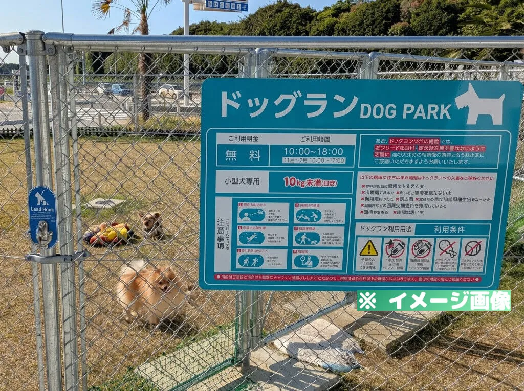 道の駅 湘南ちがさき ドッグラン