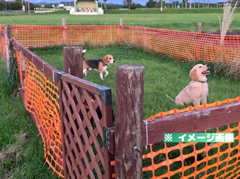 道の駅ロマン街道しょさんべつ ドッグラン