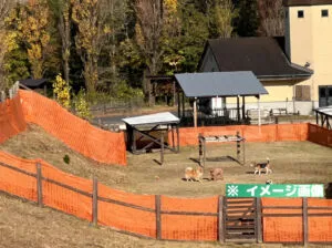 道の駅 丹後王国「食のみやこ」 ドッグランのイメージ画像