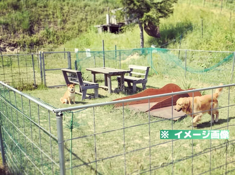 道の駅とんばら ドッグラン