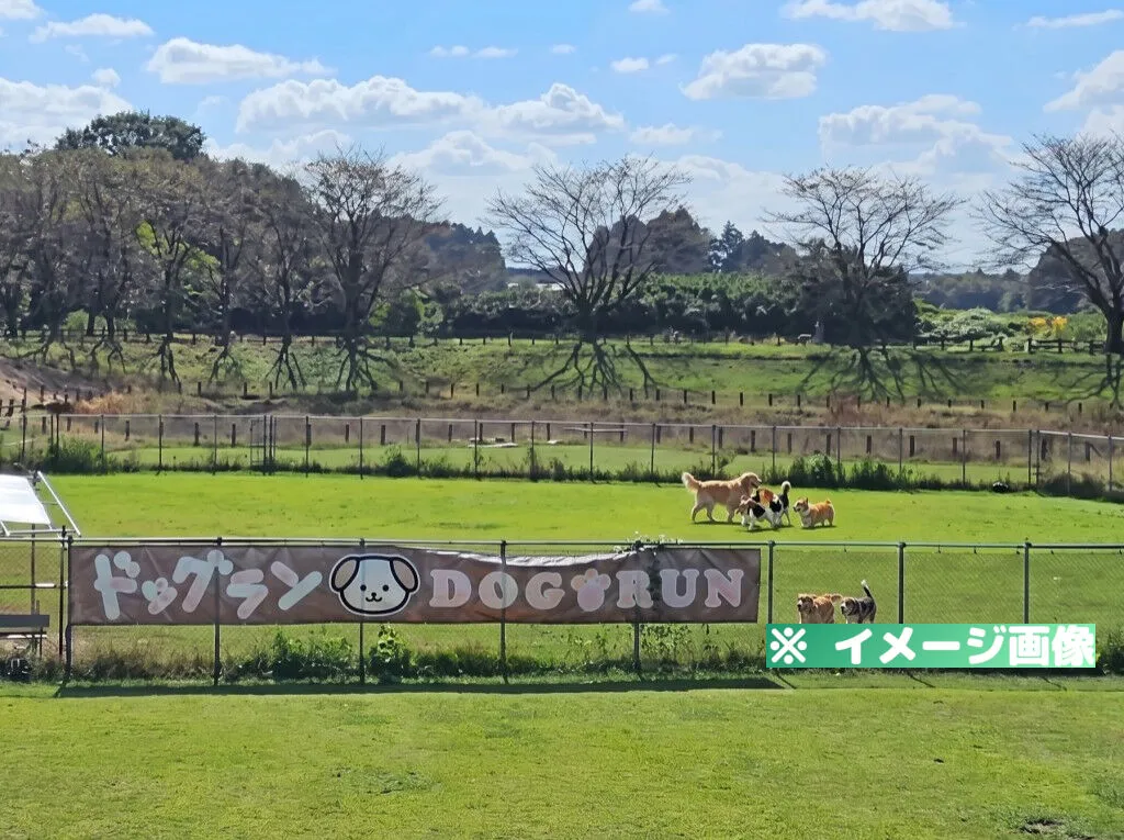 道の駅 うつのみや ろまんちっく村 ドッグラン