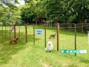 南寝屋川公園 ドッグラン