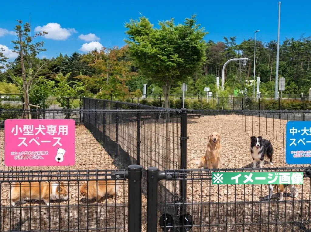 セデッテかしま ドッグラン