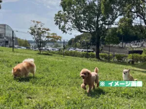 みとろの丘 DOG PARK