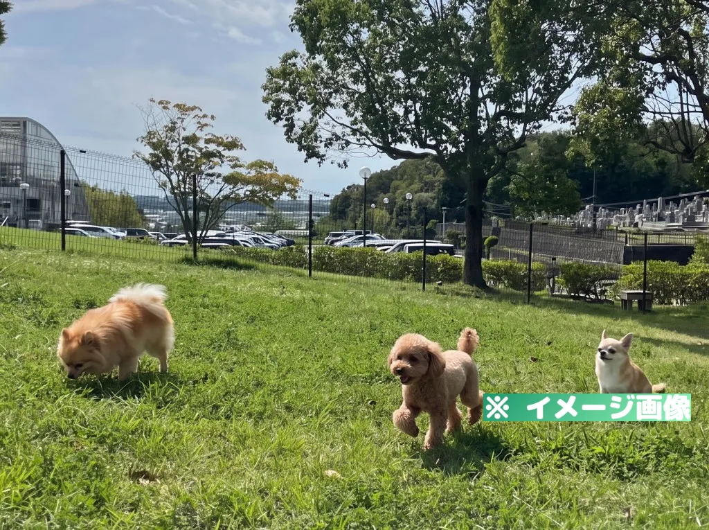 みとろの丘 DOG PARK