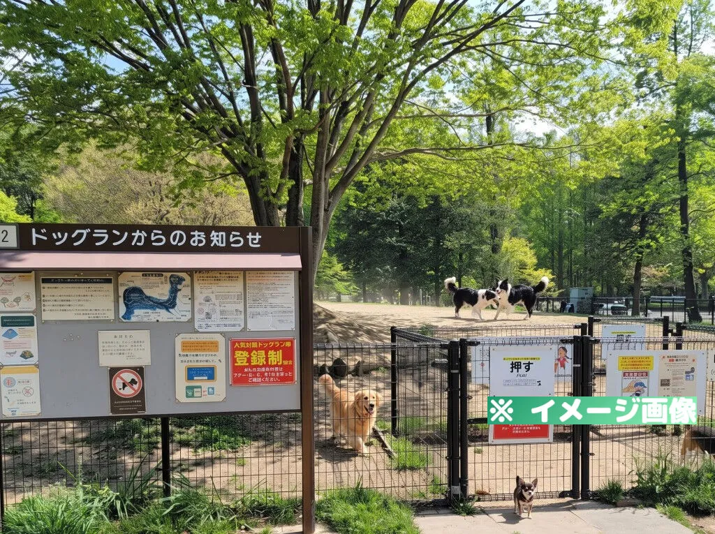 水元公園ドッグラン