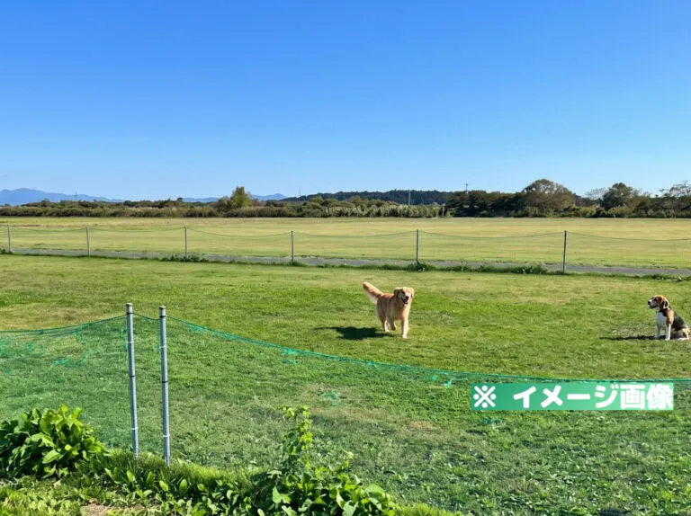 最上川下流緑地ドッグラン