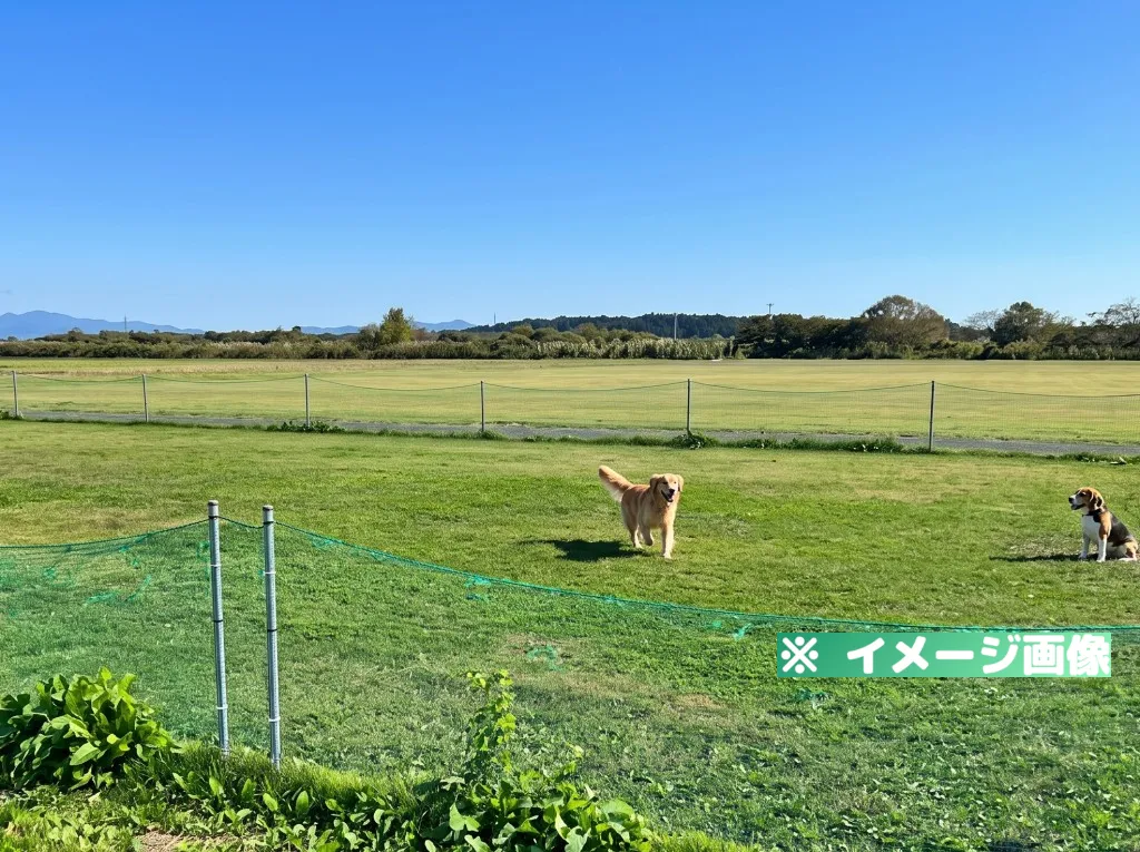 最上川下流緑地ドッグラン