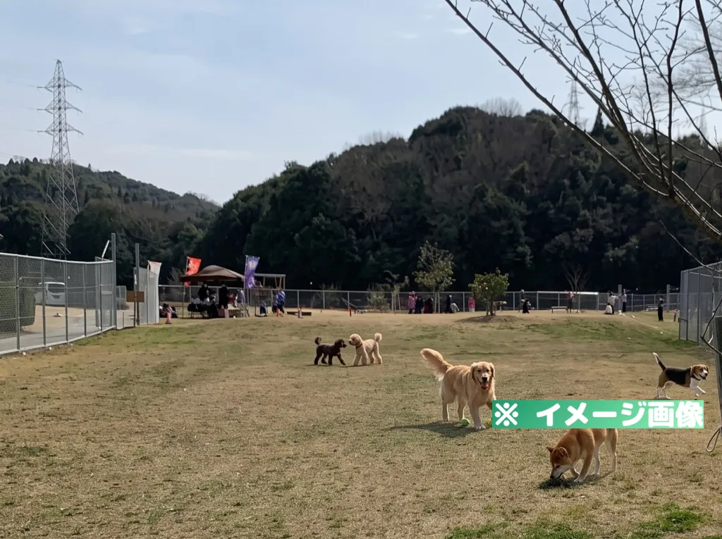守和さくらパーク