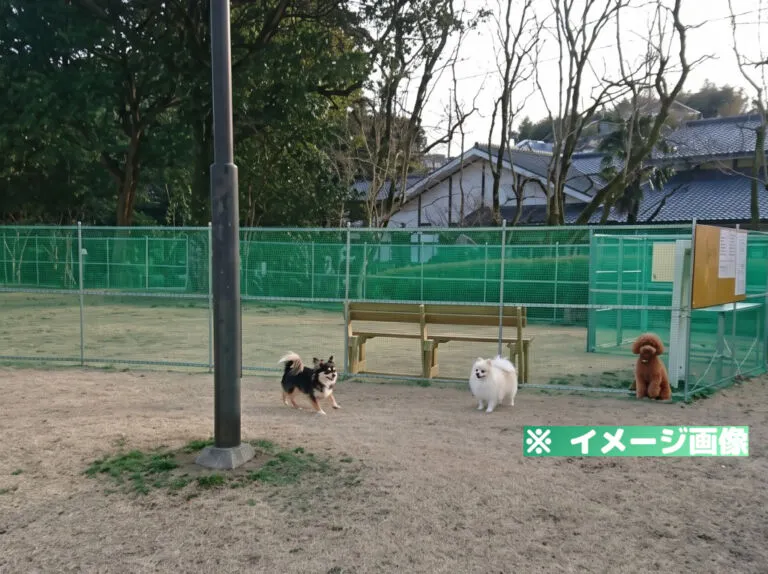 長崎県立総合運動公園 ドッグラン