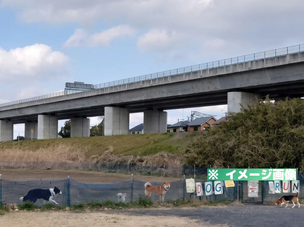 中野多目的広場 ドッグラン