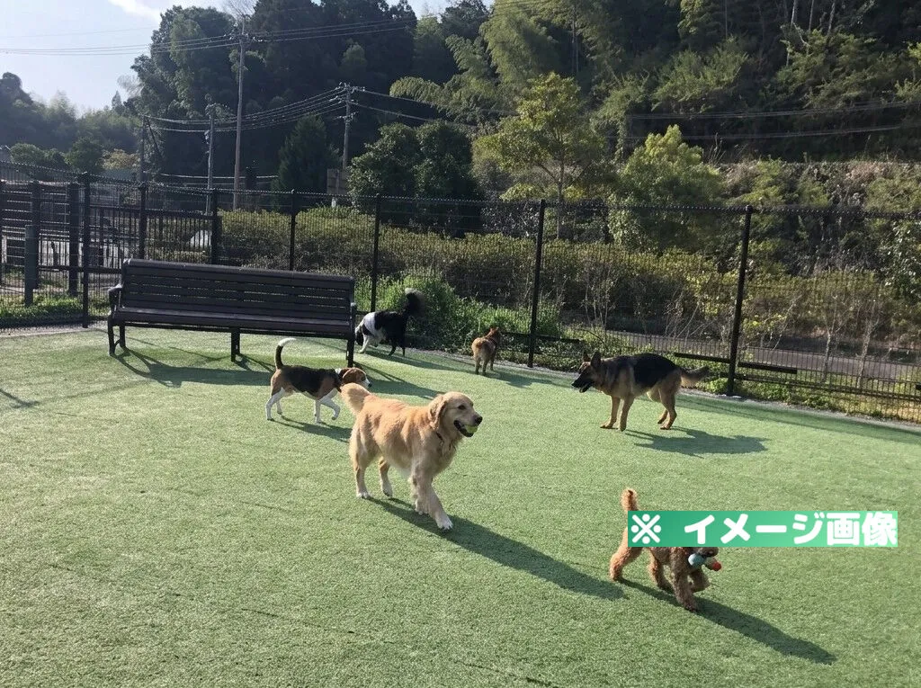 NEOPASA静岡(上り)ドッグランのイメージ画像
