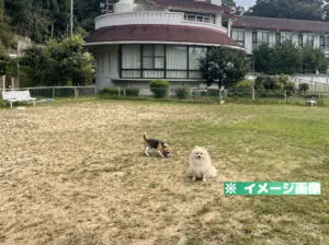 忍頂寺スポーツ公園 ドッグラン