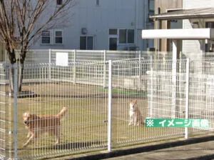 NO-LEAD（柴田動物病院ドッグラン）
