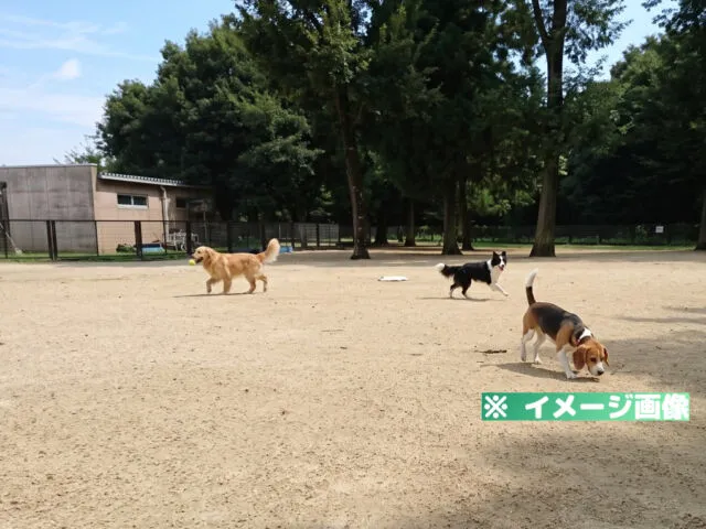 野木町総合運動公園 ドッグラン