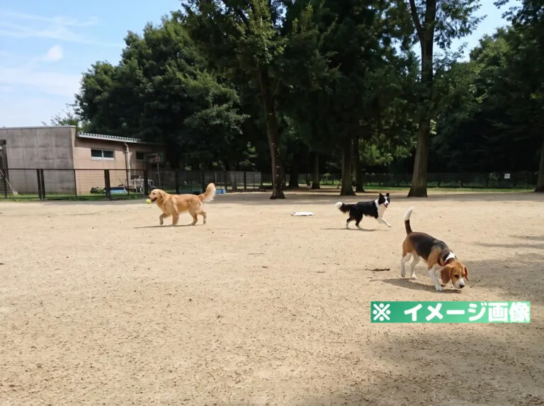 野木町総合運動公園 ドッグラン