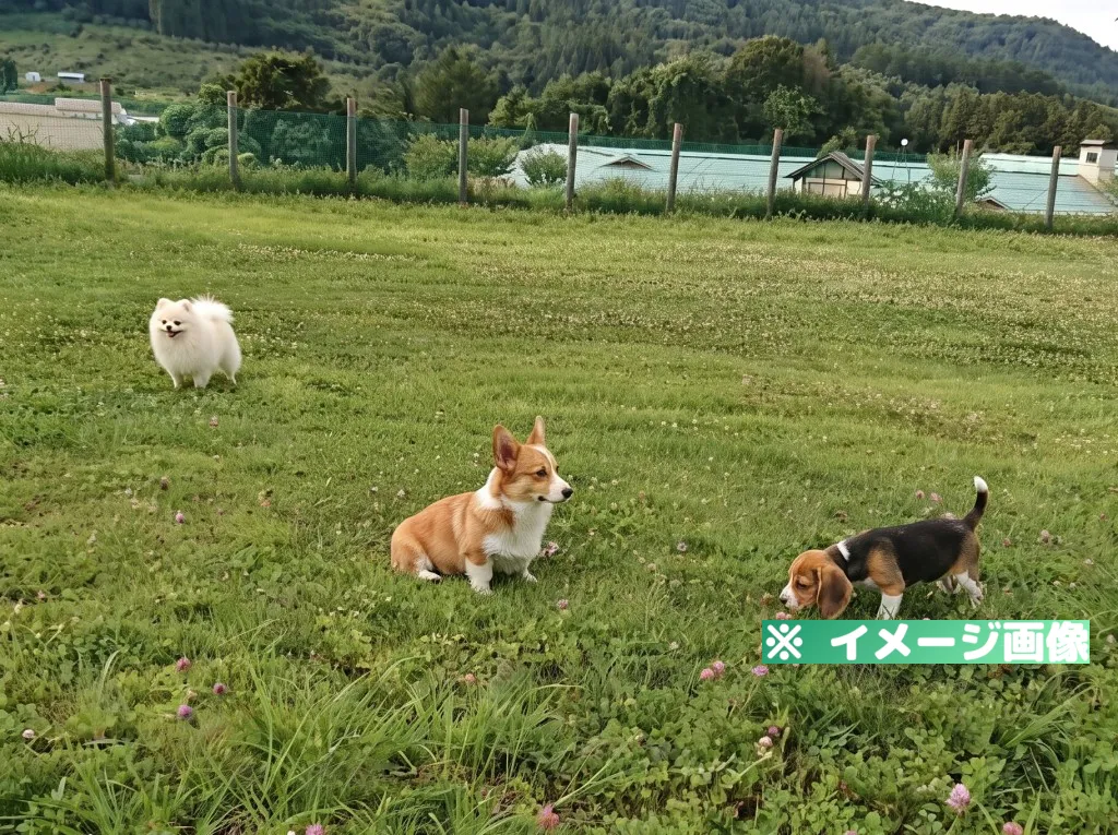 中野市ドッグラン(豊田赤坂農村公園)