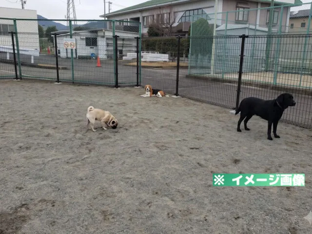 扇町クリーンセンタードッグラン