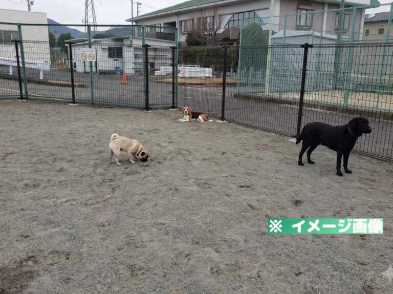 扇町クリーンセンタードッグラン