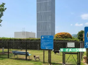 大村湾パーキングエリア（下り）ドッグランのイメージ画像