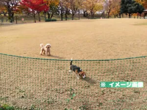 大野極楽寺公園 わんわん広場