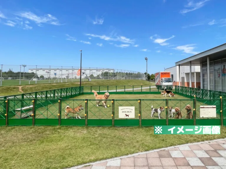 おのサンサッカーパーク ドッグラン