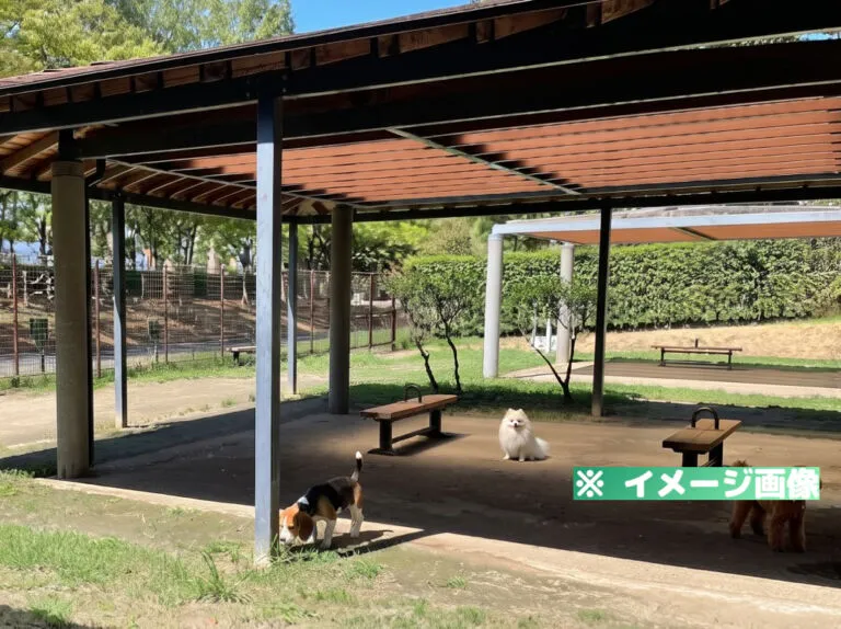 大泉緑地 ドッグラン