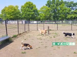 大間木ドッグランのイメージ画像