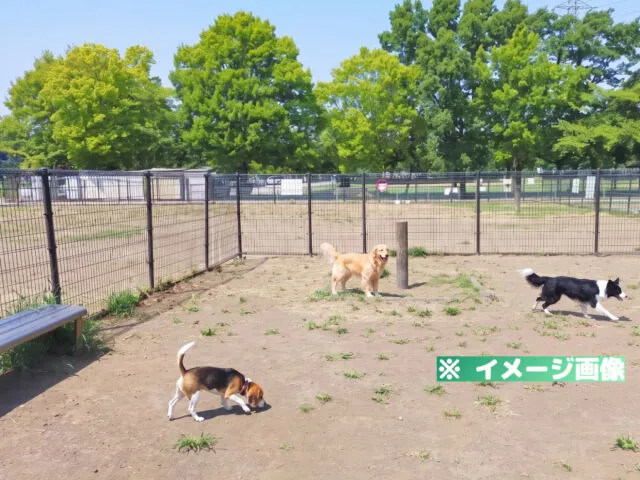 大間木ドッグラン