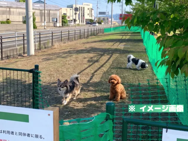 大新田公園 ドッグラン