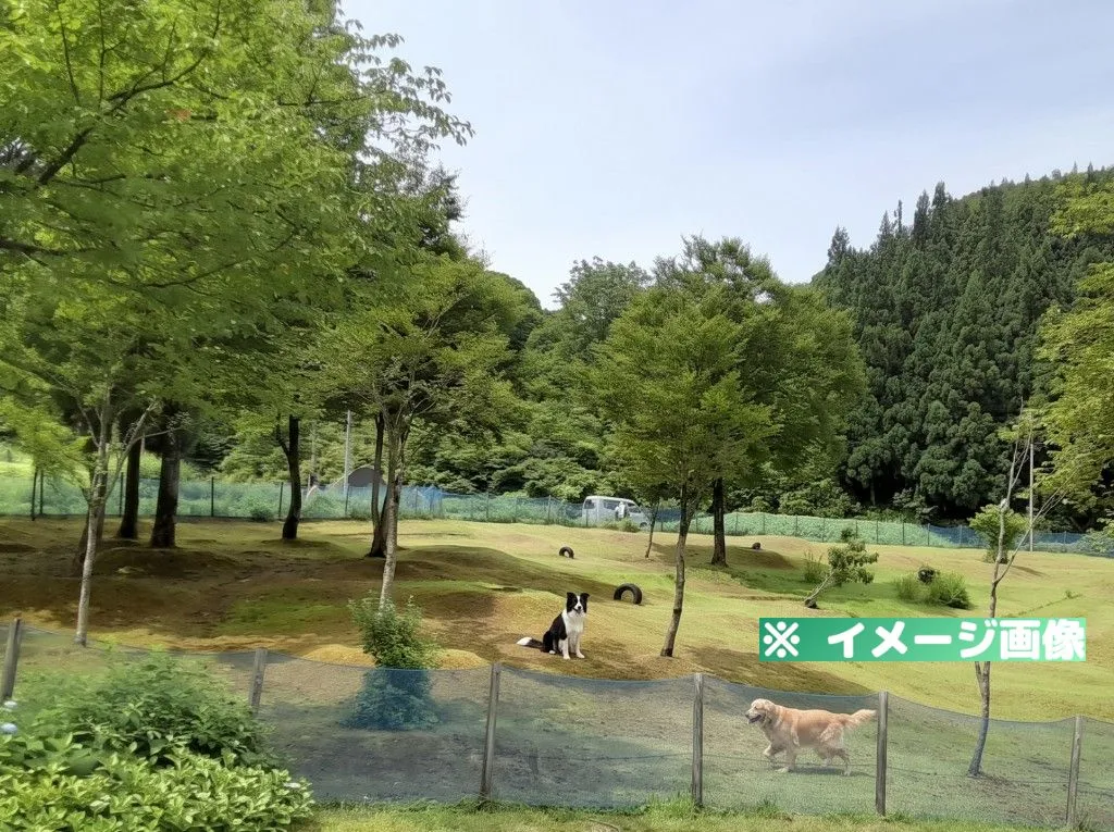 大湯公園ドッグラン