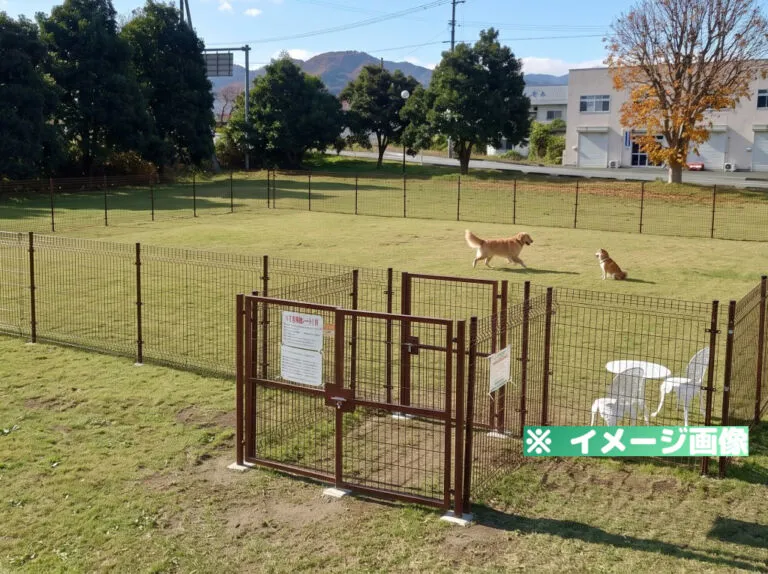 卸売市場西緑地ドッグラン
