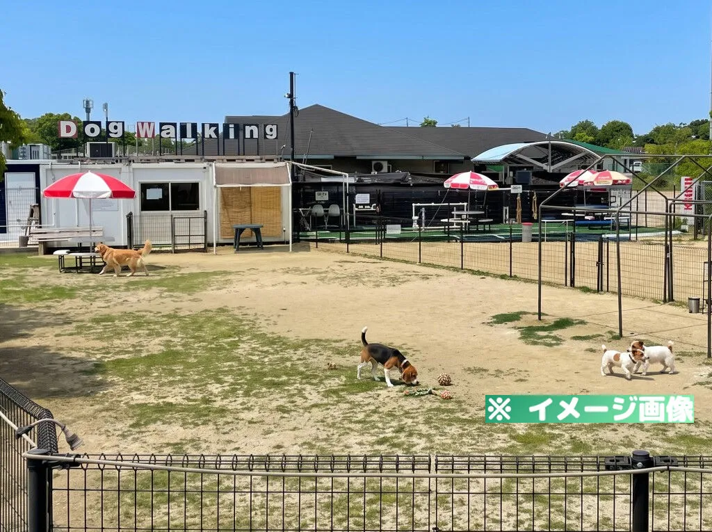 大阪舞洲ドッグウォーキング