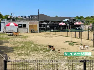 大阪舞洲ドッグウォーキングのイメージ画像