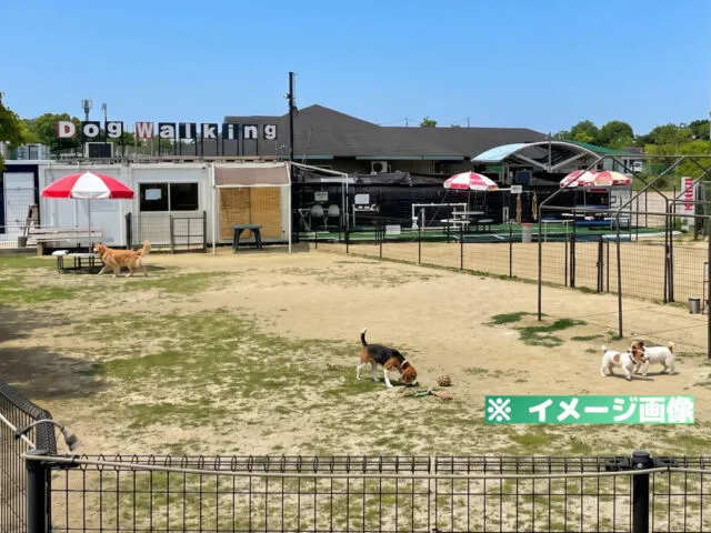 大阪舞洲ドッグウォーキング