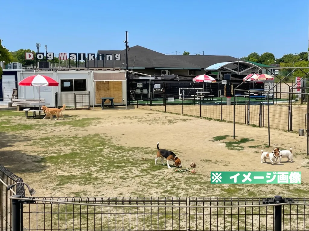大阪舞洲ドッグウォーキングのイメージ画像