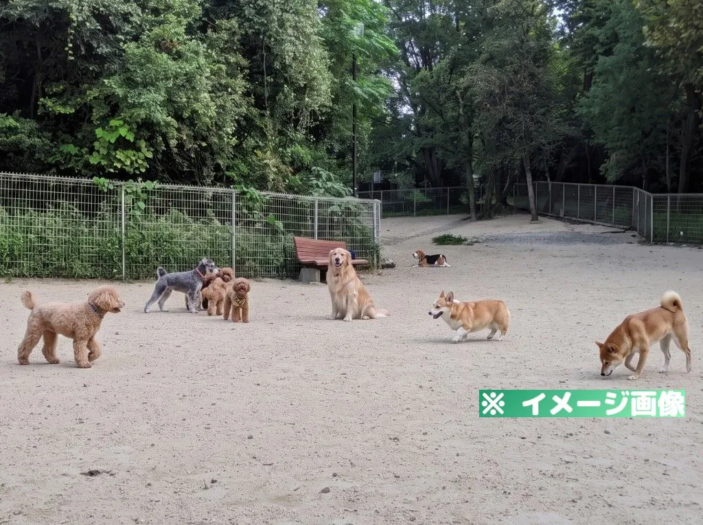 大高緑地ドッグラン