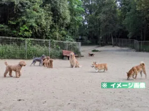 大高緑地ドッグランのイメージ画像
