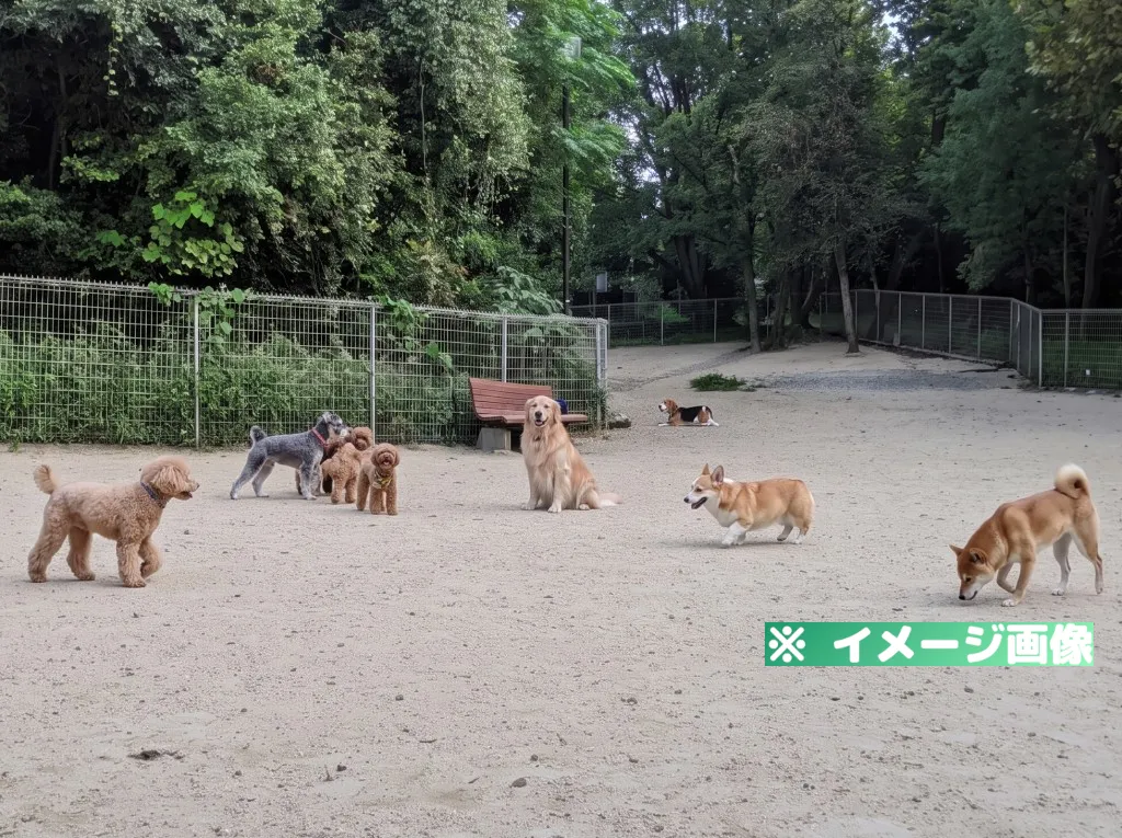 大高緑地ドッグラン