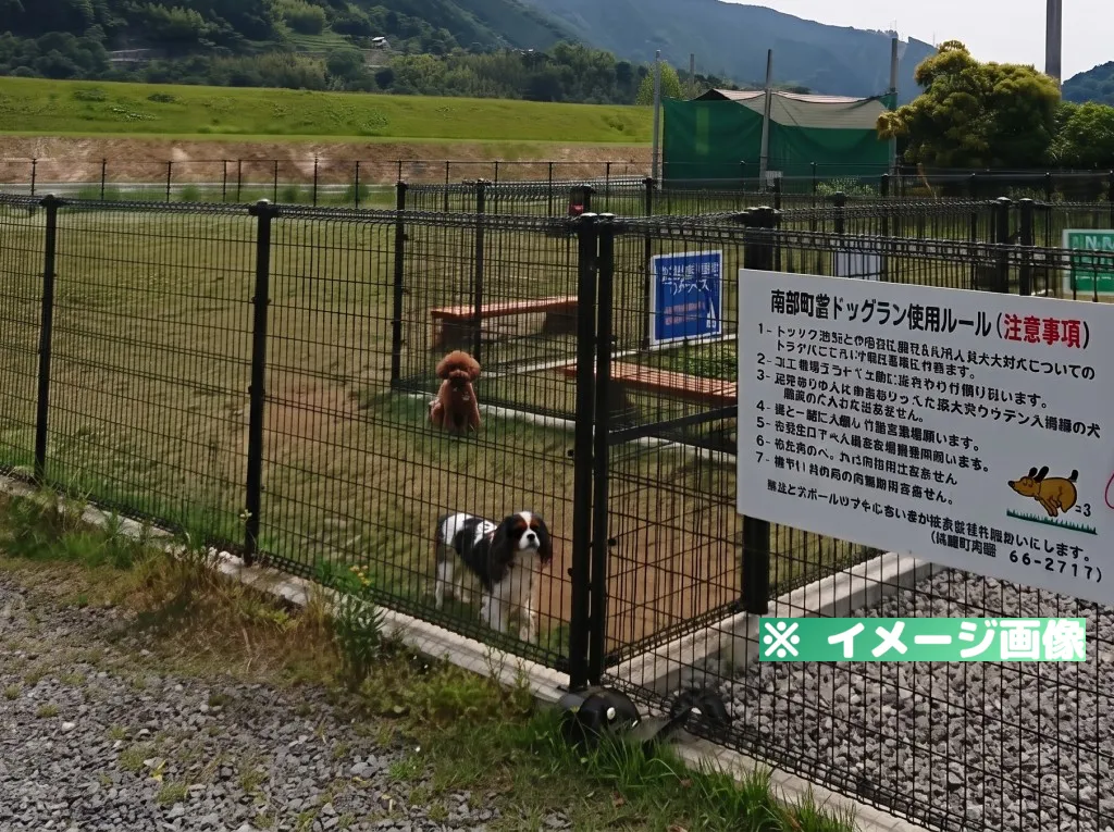 リバーサイドパーク ドッグラン