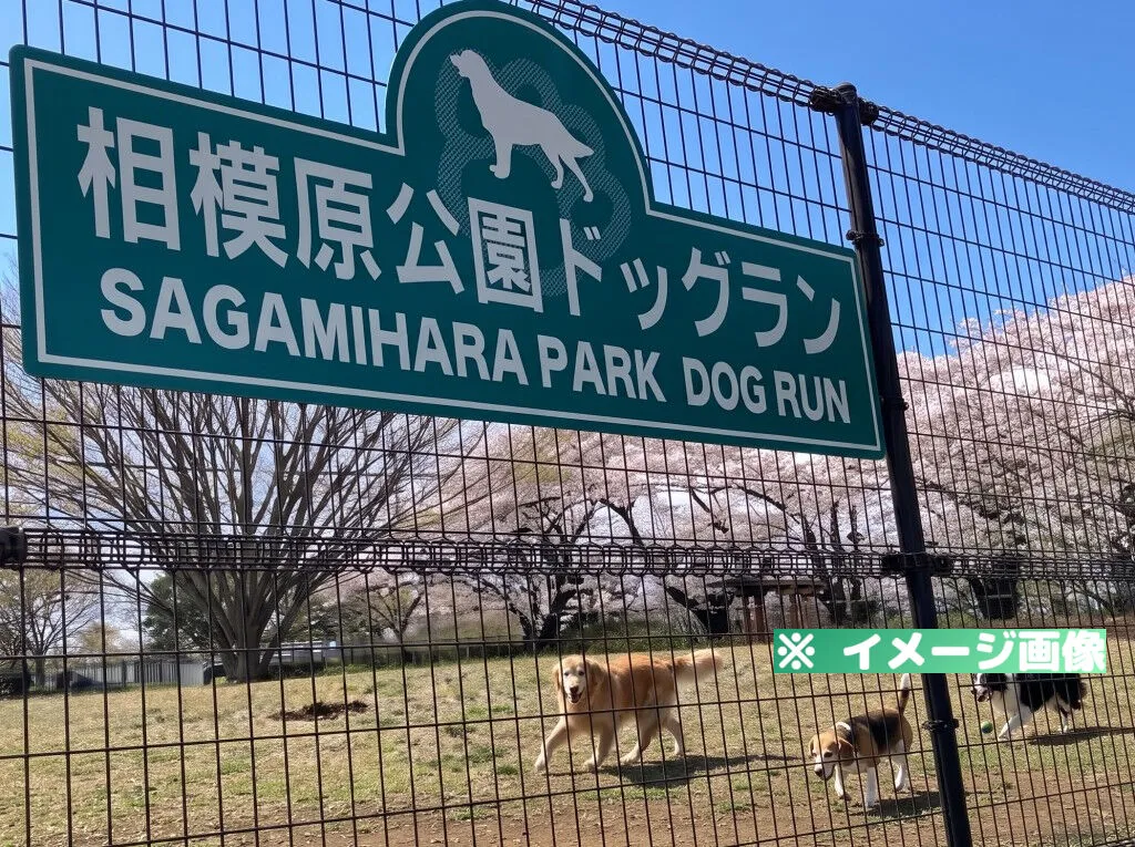 相模原公園ドッグラン