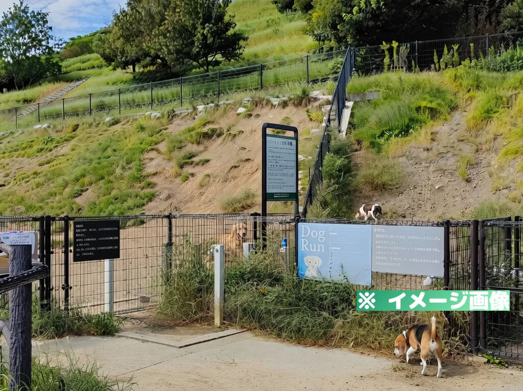 彩都なないろ公園ドッグラン