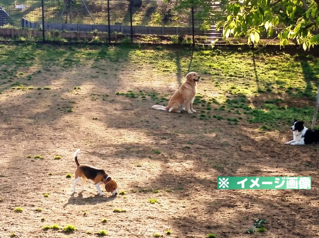 桜ヶ丘公園ドッグラン