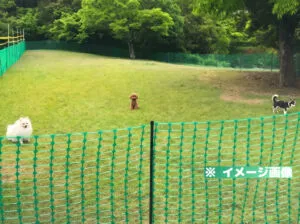 桜井総合公園 ドッグラン