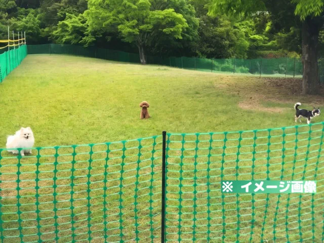 桜井総合公園 ドッグラン