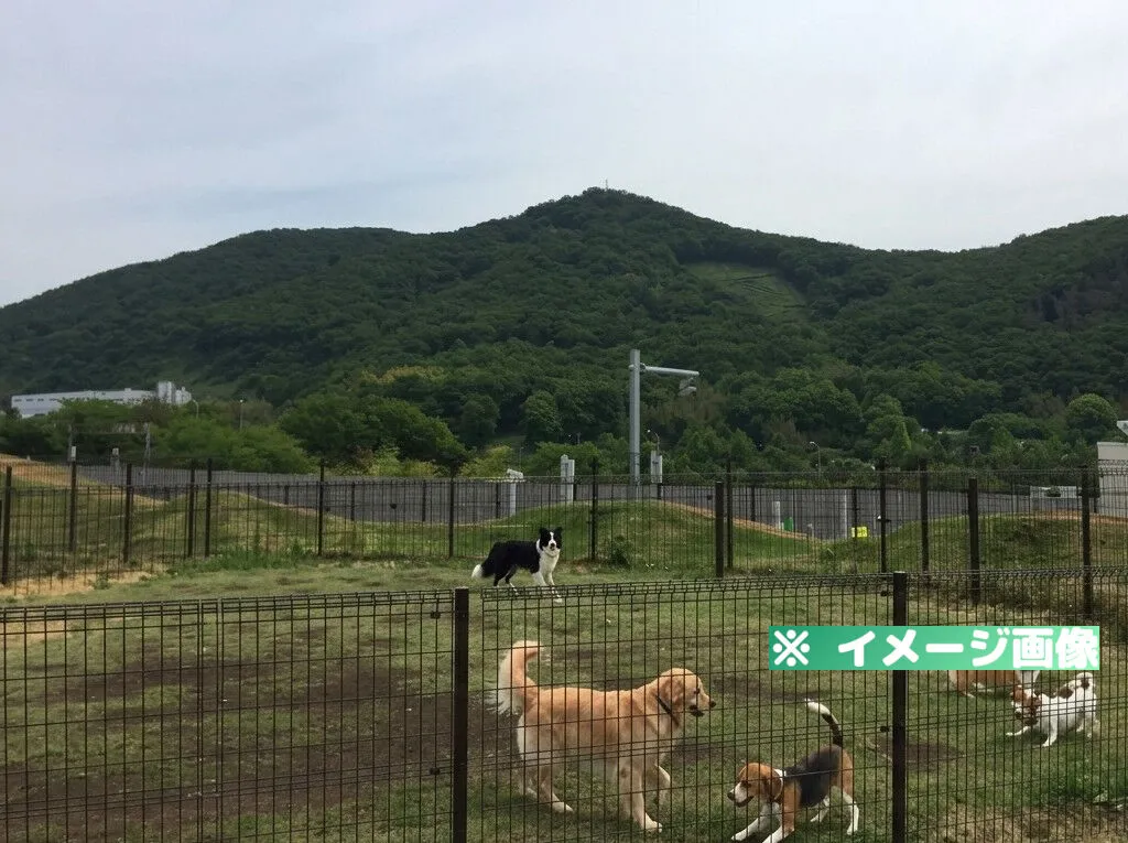 佐野サービスエリア(上り)ドッグラン