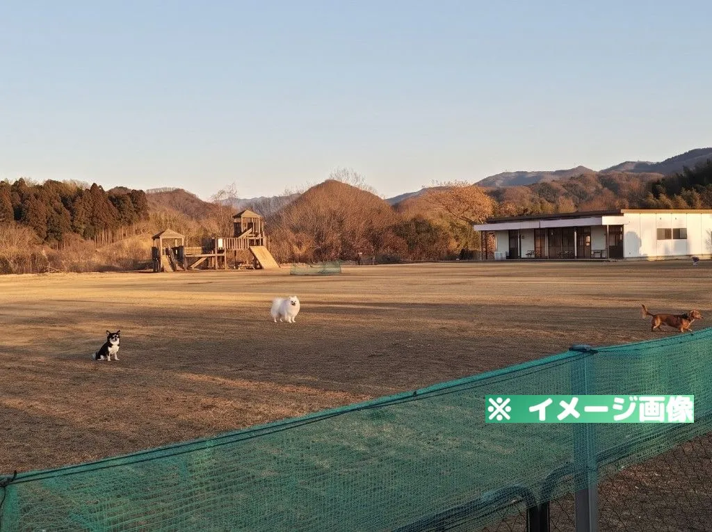 さぬき動物霊園 ドッグラン